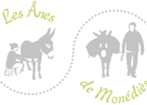 logo-monedies